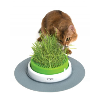 Catit Senses 2.0 Grass Planter