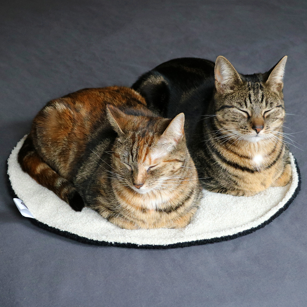 ronde kattendeken met witte en zwarte zijde met twee katten erop