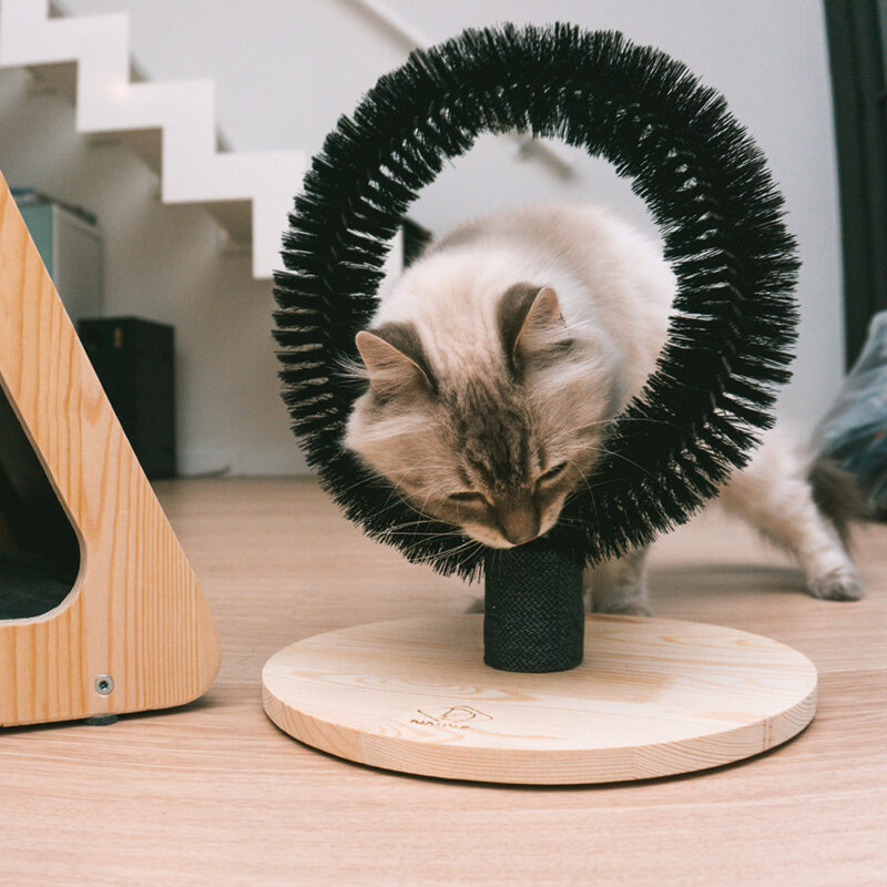 ronde borstel op houder voor katten