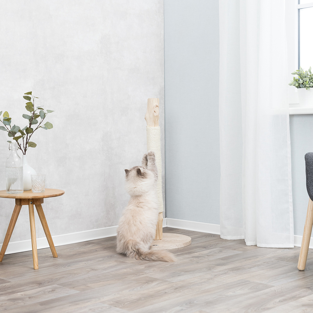 houten kattenpaal in de hoek van de kamer