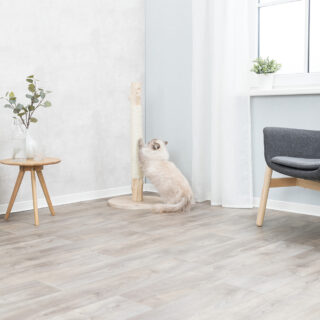 houten kattenpaal in de hoek van de kamer