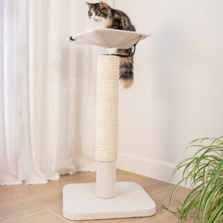 witte kattenpaal met hangmat met kat erop