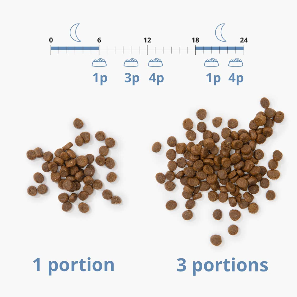 Voorbeeld portie voor pixi smart feeder