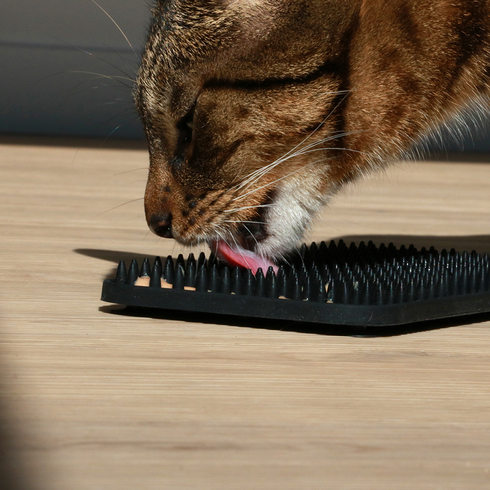 kat likt aan likmat die gevuld is met vloeibaar kattenvoer