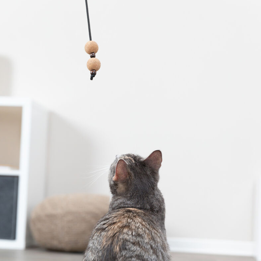 kat speelt met kurkballetjes aan een kattenhengel