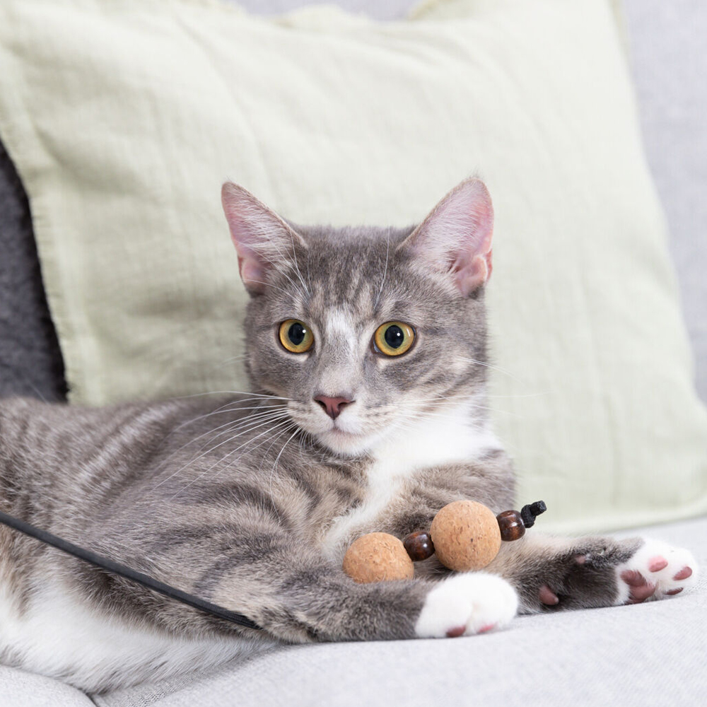 kat speelt met kurkballetjes aan een kattenhengel