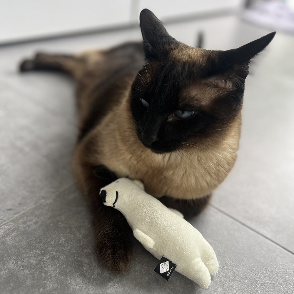 siamese kat speelt met een trappelkussen in de vorm van een beer