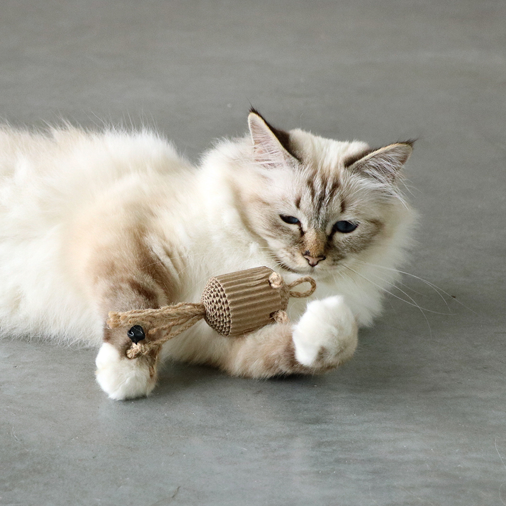 kat speelt met kartonnen kattenspeeltje