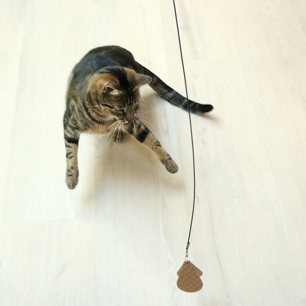 kat speelt met telescopische kattenhengel met tabje eraan