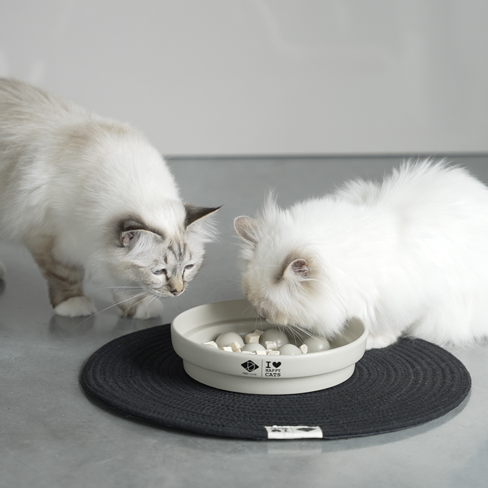 katten eten uit witte kattenvoerbak met stippelstructuur