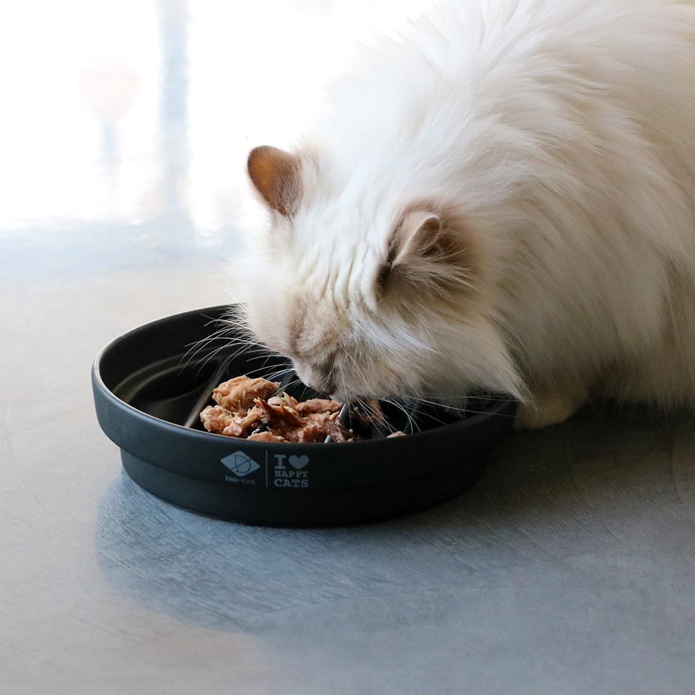 kat eten uit zwarte kattenvoerbak met streepstructuur