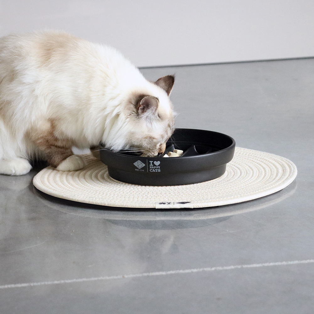 kat eten uit zwarte kattenvoerbak met streepstructuur